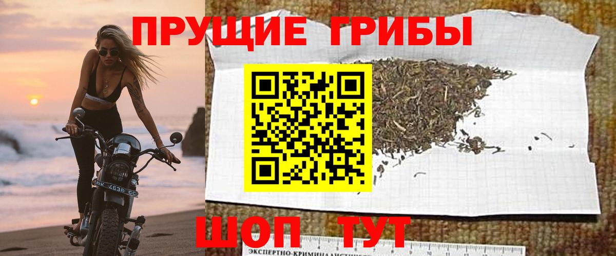 Алатырь  Псилоцибиновые грибы Magic Shrooms  Вход с VPN 