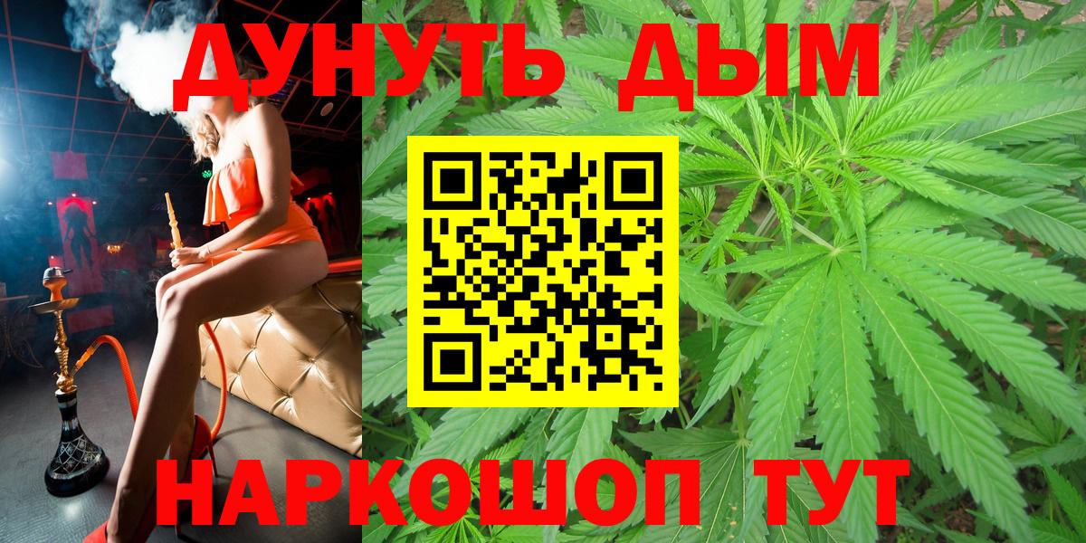 Бошки Шишки сатива  Вход с VPN  Алатырь  Каннабис планчик 